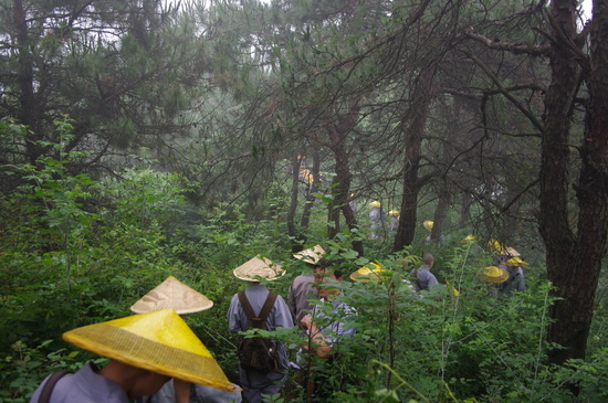 净慧老和尚率本寺常住朝礼双峰山