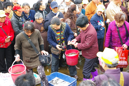 黄梅四祖寺辛卯年春季放生法会圆满