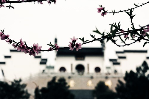 四祖寺举行辛卯年观音圣诞法会