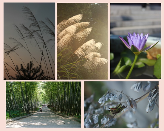 寻访禅宗祖师的足迹——夏令营随行随记第四天