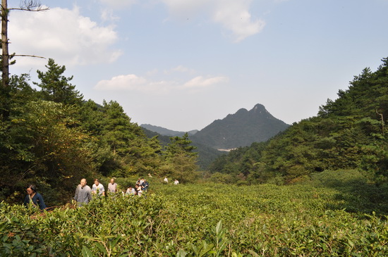 幸福是善用智慧解决人生问题——短期出家禅修班小记