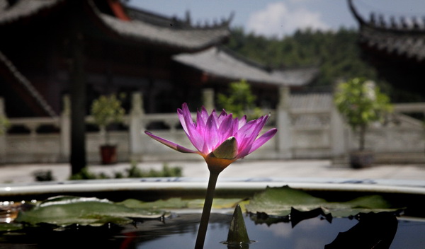 夏令营 | 行脚·禅行山水间，问道敬前贤