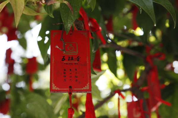 夏令营 | 行脚·禅行山水间，问道敬前贤