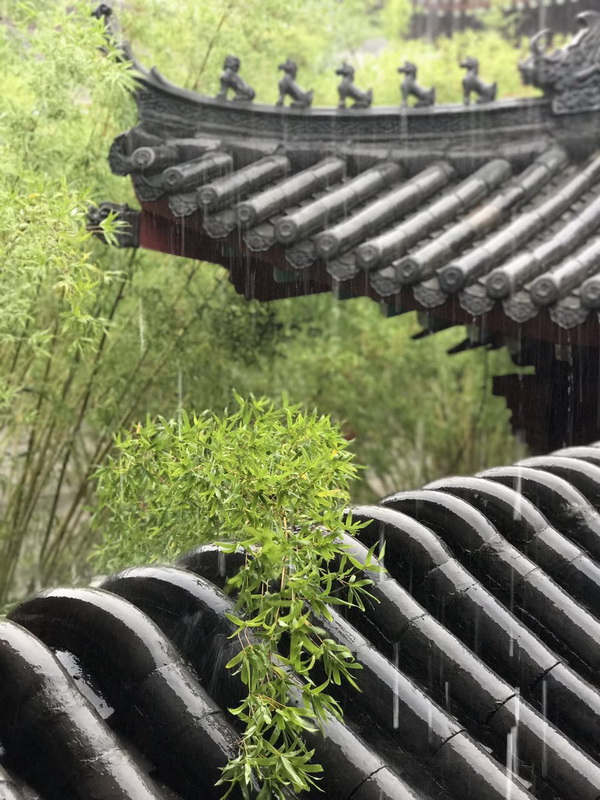 法雨弥天秋思长——忆念净慧老和尚 法雨弥天秋思长——忆念净慧老和尚