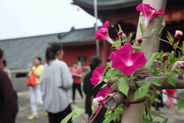 黄梅四祖寺己亥年观音菩萨成道纪念法会圆满