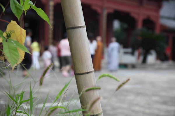 黄梅四祖寺己亥年观音菩萨成道纪念法会圆满