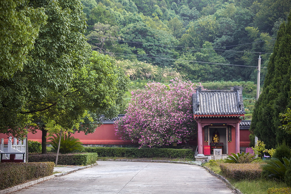 岁时记 | 桃开竹上