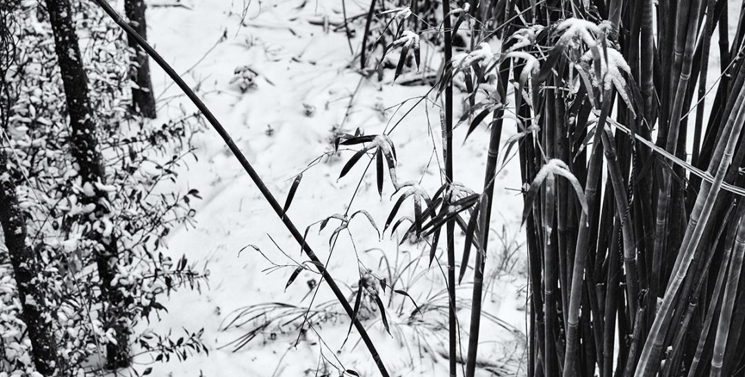 岁时记 | 寒岩立雪