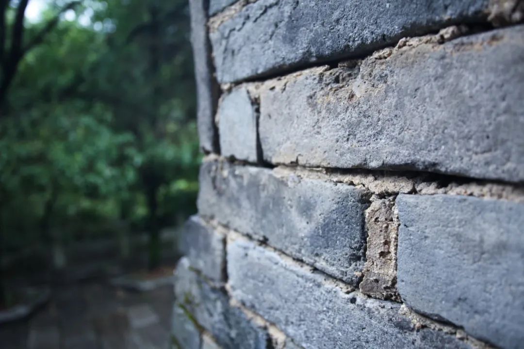 江南烟水，禅趣天成——访毗卢塔小记