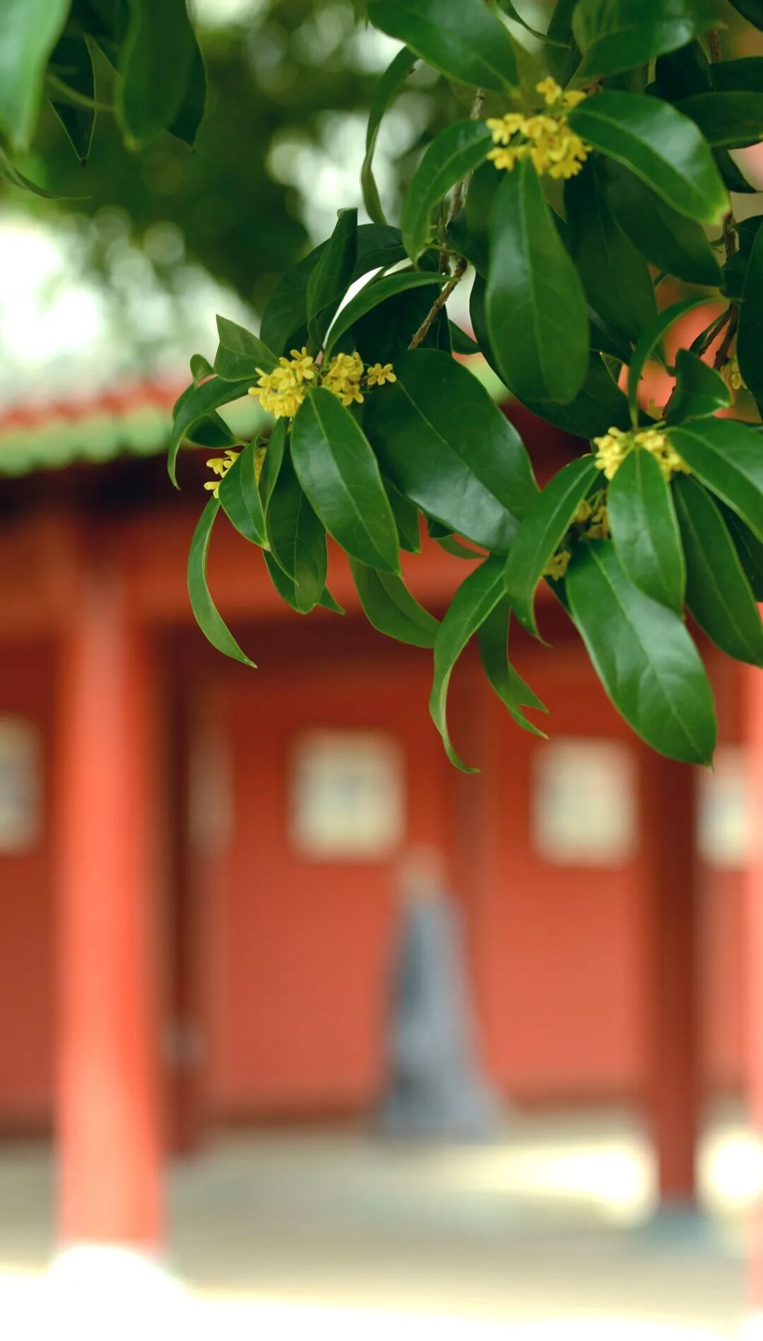 一扇门里的禅风与清凉