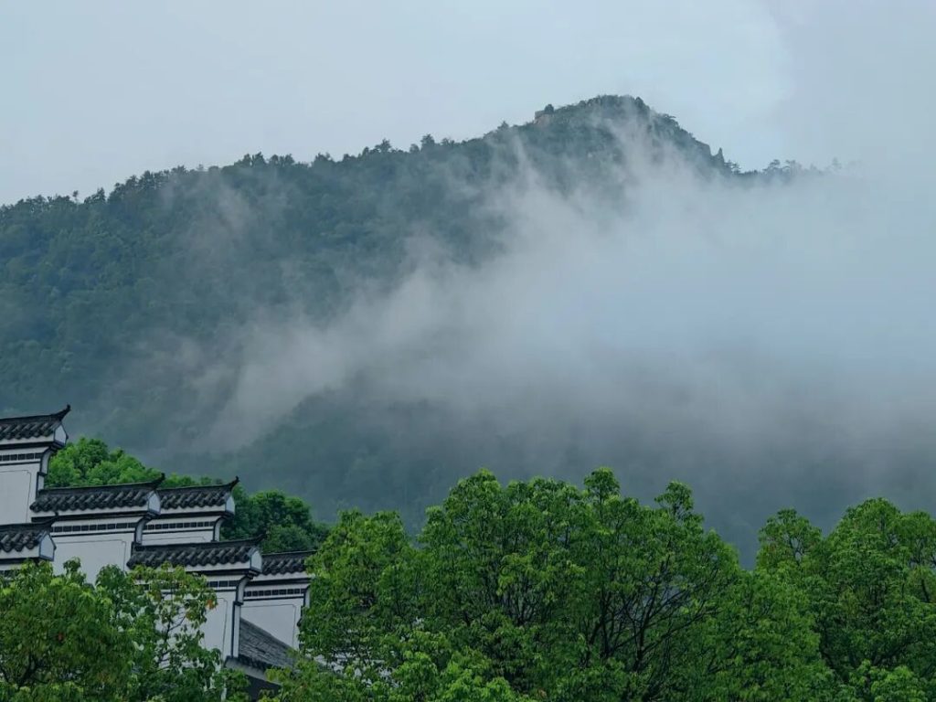 一扇门里的禅风与清凉