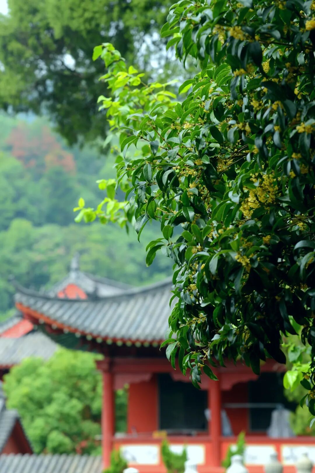 一扇门里的禅风与清凉